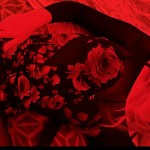 Red Toy Doll