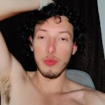 the_shmds