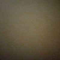 Cleo6904