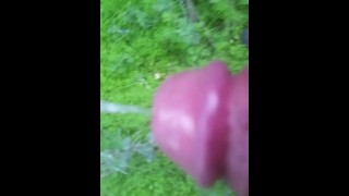 Piss walking in backyard