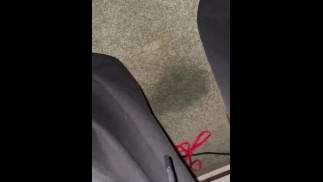 Day 1 pissing on my carpet :)) .. better video to come I had to pee desperately 