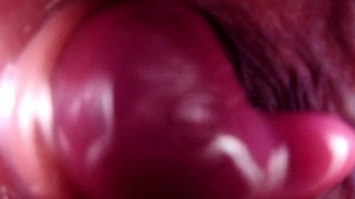 Internal Anal View Large Bad Dragon Rex Pounds My Ass And Cums