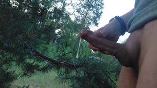 Young twink guy's local cruising forest-beach handjob and plenty of sperm for you