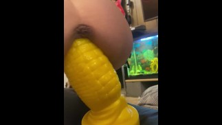 Super hot MILF playing with her corn dildo stretching pussy out