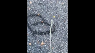 Limp Dick Twink Tries To Spell His Name Outdoor Public Pissing Peeing Urination