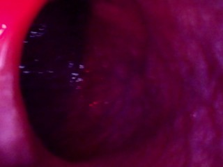 Internal Camera Bad Dragon Rex Fucks and Cums in my Ass with Plug to Hold it in