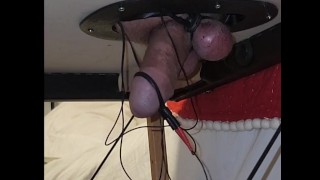 Estim On The Milking Table