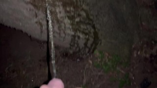 Desperate morning pee I had to find a tree to pee on