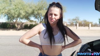 Stranded driver gets picked up for sex