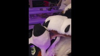 Playing with my boy's paws and muzzle (18+) @LewdMindedLynx and @AngryBarks