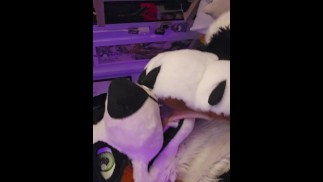 Playing with my boy's paws and muzzle (18+) @LewdMindedLynx and @AngryBarks