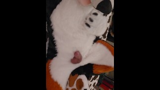 You've been such a good boy 🐶 Take your cock out and don't cum until I tell you to 💦