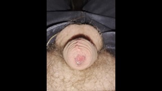 Hands-Free Cock Control - Chubby Bear Moves His 4 Inch Dick & Fills His Uncut Foreskin with Precum