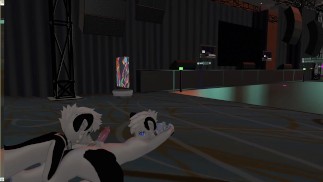 Two cute cats' first time at a VR furry convention