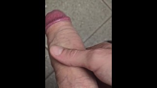Cheeky Public Toilet Wank